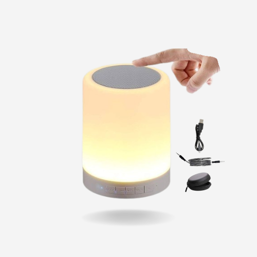 Speaker & Lamp